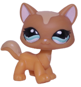#1100 Destiny Cat